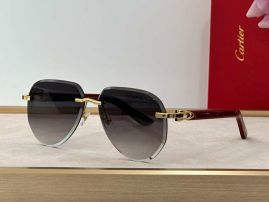 Picture of Cartier Sunglasses _SKUfw55707453fw